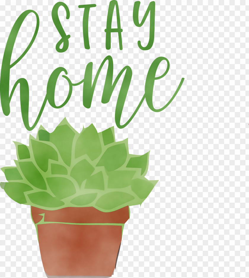 Leaf Vegetable Flowerpot Herb Meter PNG