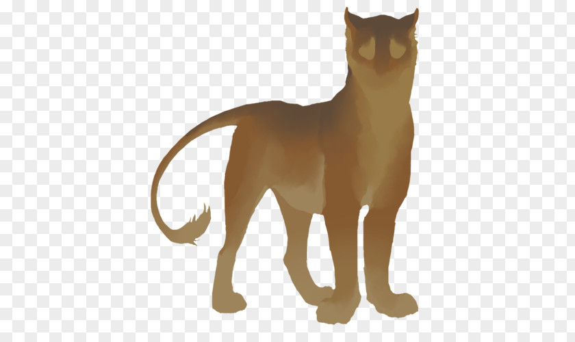 Lion Whiskers Cat Tiger Dog PNG