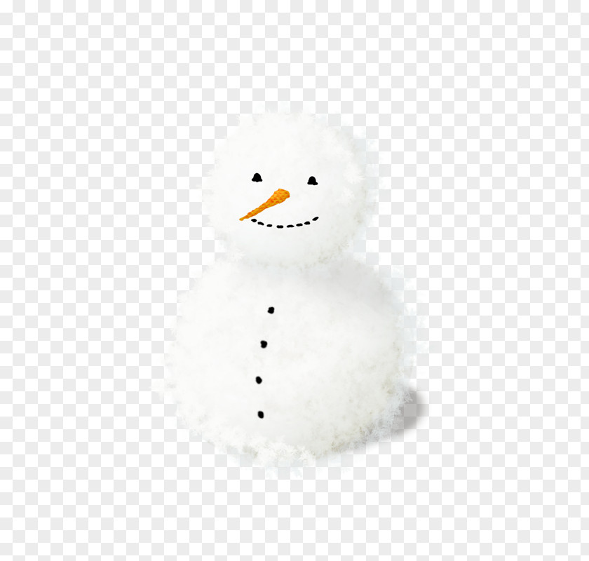Neige Carrot Snowflake Winter PNG