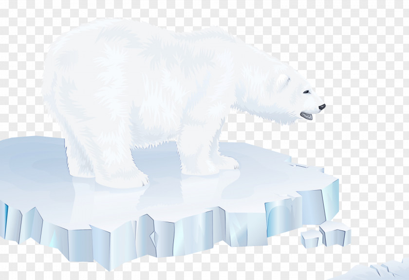 Polar Ice Cap Bear Animal Figure Arctic PNG