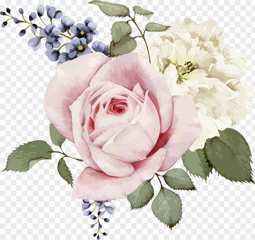 Rose Painting Stock Illustration Flower PNG illustration Flower, Pink rose and white watercolor hand painted flowers, pink, white, blue flowers clipart PNG