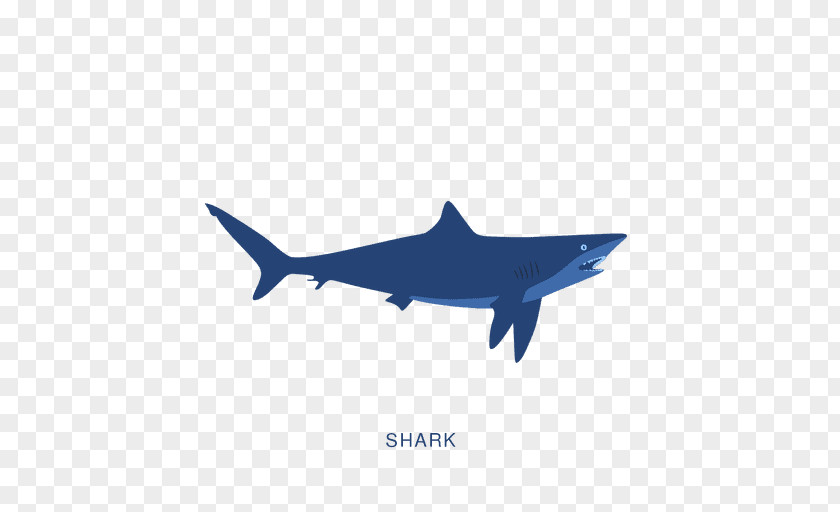 Sharks Fish Poster PNG