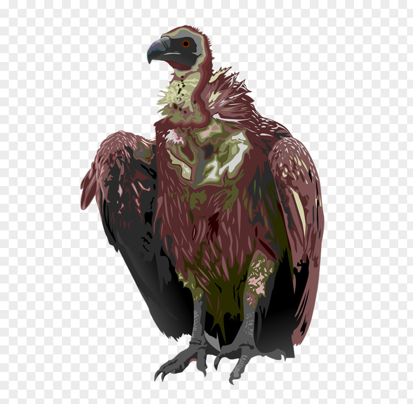 The Jungle Book Turkey Vulture Bird Black Clip Art PNG