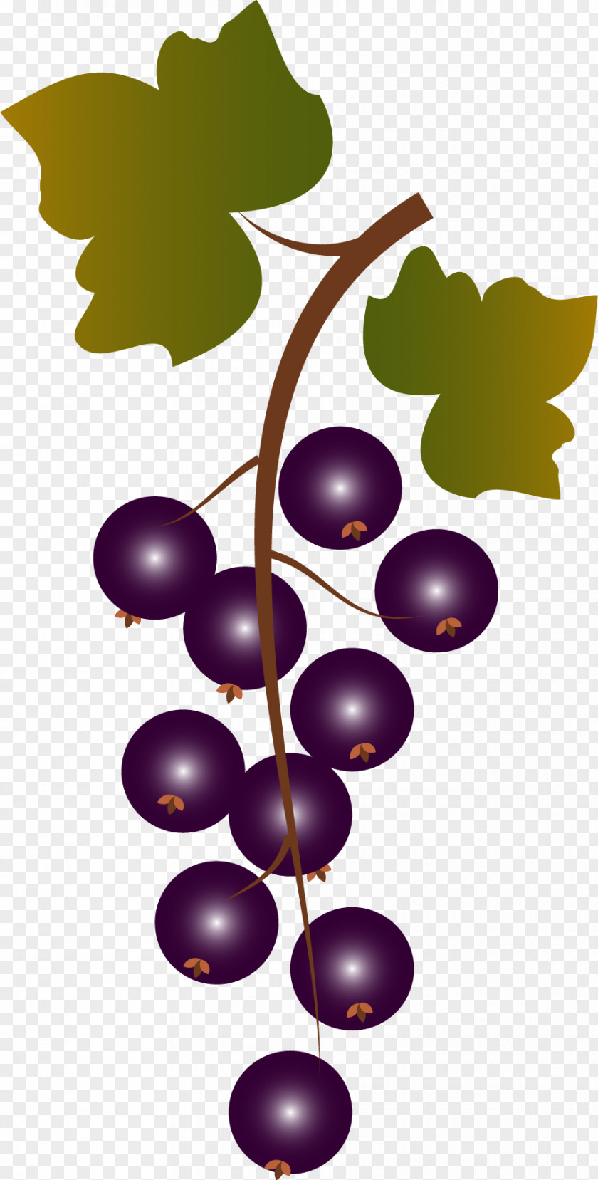 A Bunch Of Grapes Grape Fruit Purple PNG
