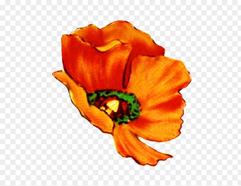 Long Flower Bouquet Poppy Digital Scrapbooking Clip Art PNG