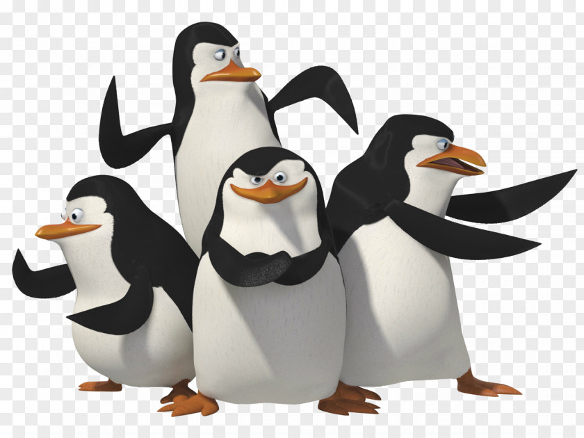 Madagascar Penguins Skipper Penguin Clip Art PNG