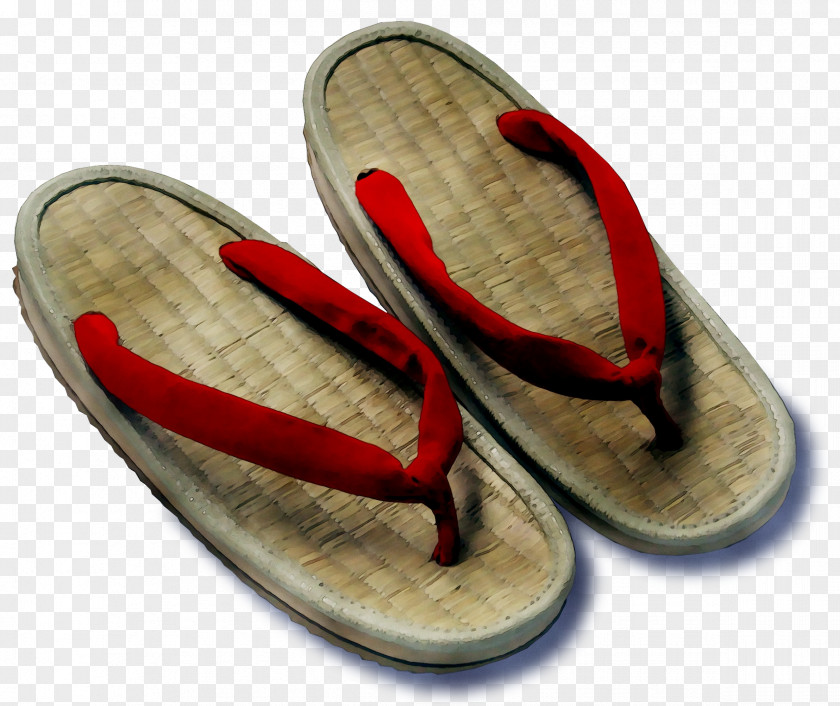 Shareholder Flip-flops Publicly Listed Company Slipper PNG