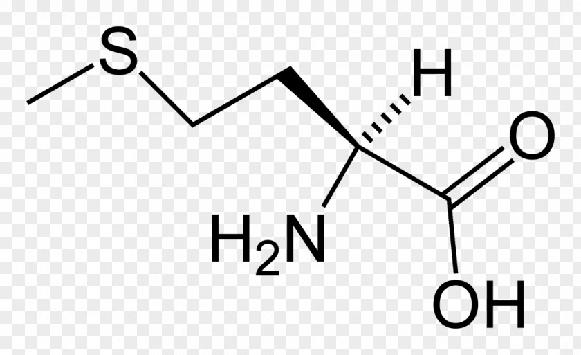 Aspartic Acid Proteinogenic Amino Asparagine PNG