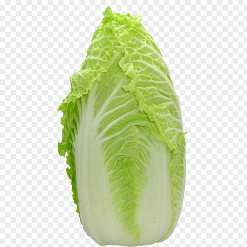 Cabbage Picture Material Chinese Leaf Lettuce Vegetable Salad PNG