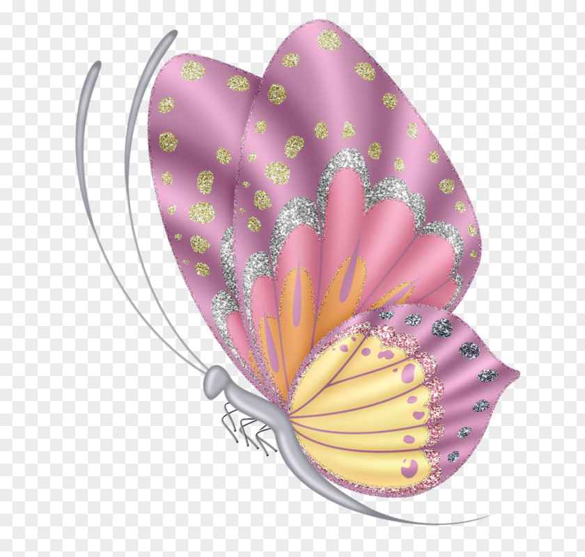 Cartoon Butterfly Insect PNG