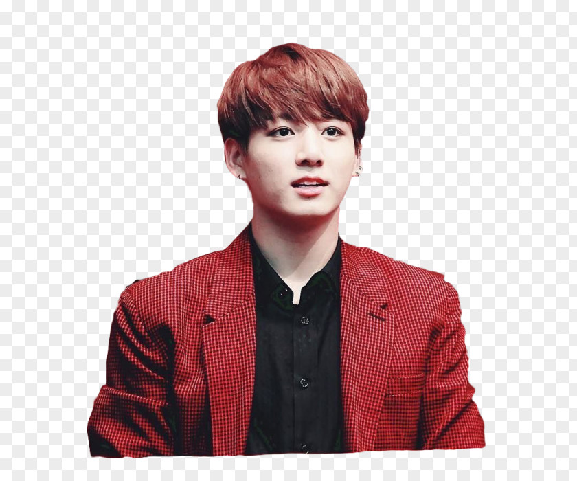 Jungkook BTS Blood Sweat & Tears Love Yourself: Her PNG