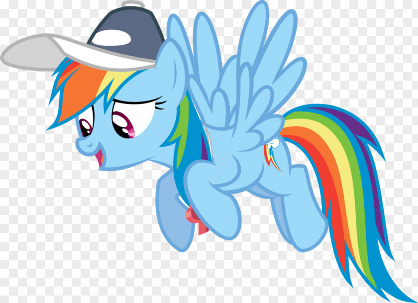 Rainbow Pony Dash Fluttershy PNG