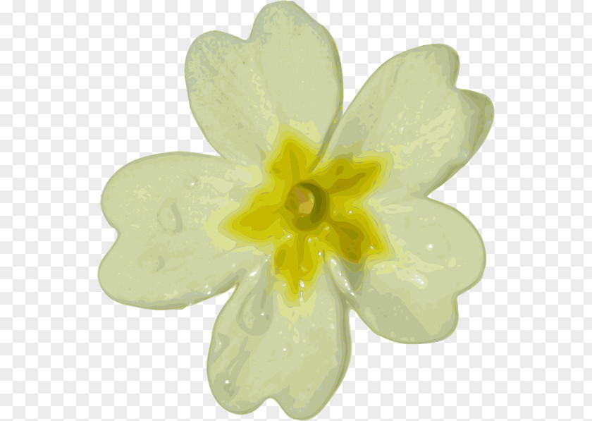 White Flower Clip Art PNG