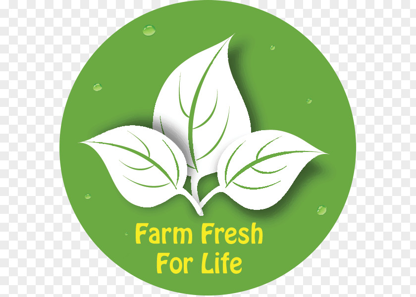 Farm Fresh Health Food Raw Foodism Milk PNG