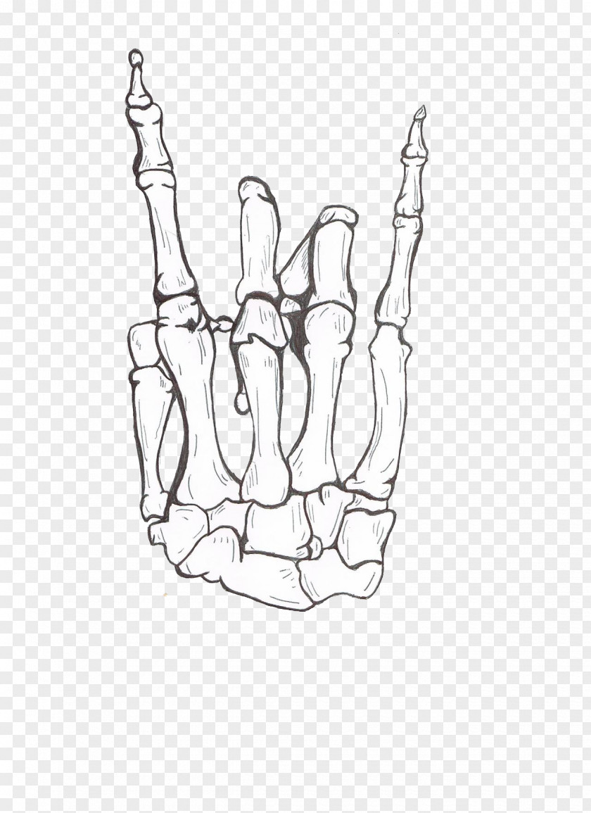 Skelton Outline Human Skeleton Drawing Praying Hands PNG