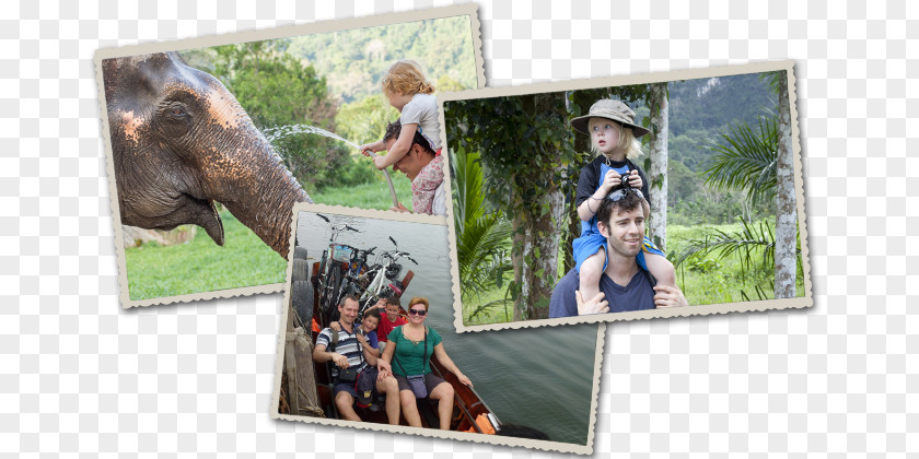 Thailand Tour Khwae Yai River Hotel Family Elephants Travelnauts PNG