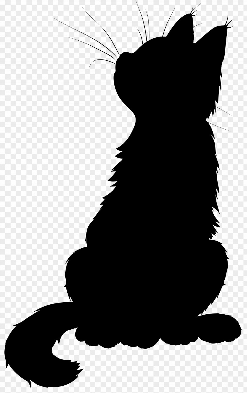 Whiskers Black Cat Dodo Dog PNG