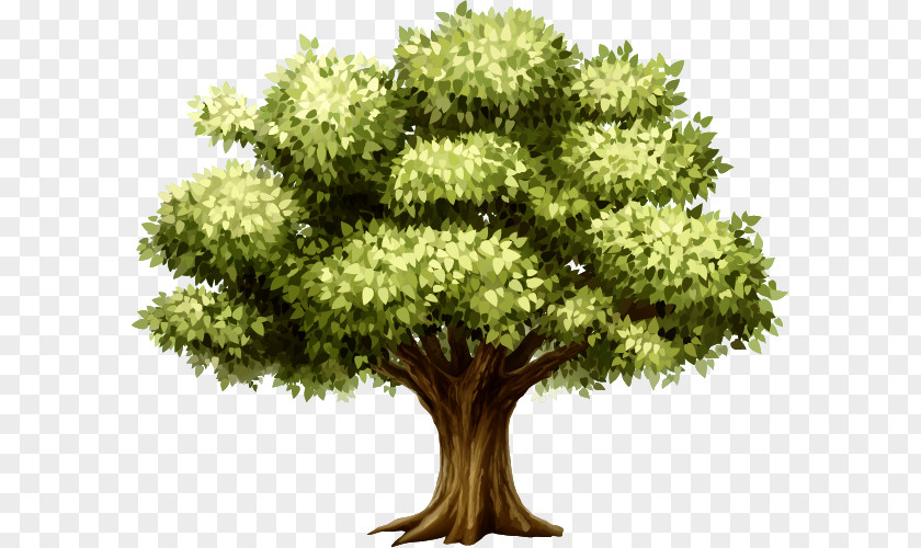 Correction Clip Art Tree Illustration Transparency PNG