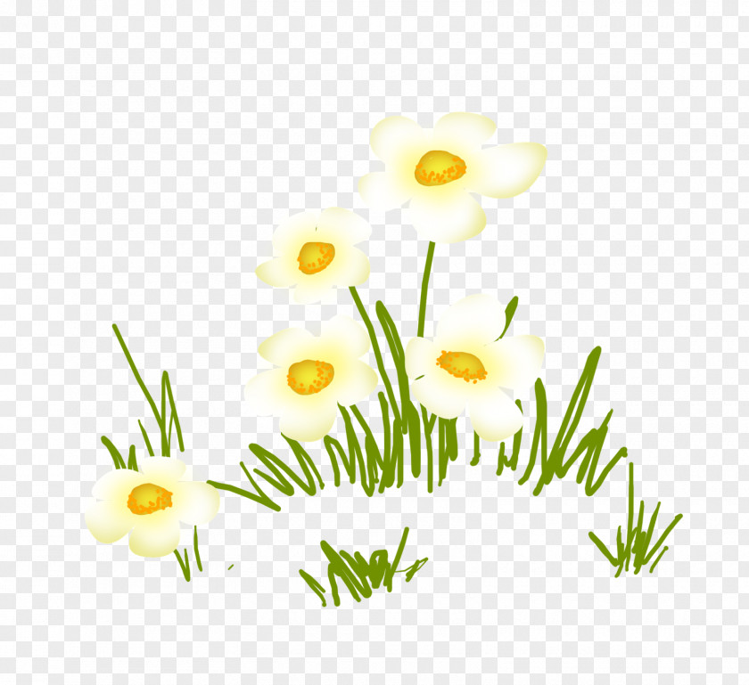 Flower Common Daisy Floral Design Clip Art PNG