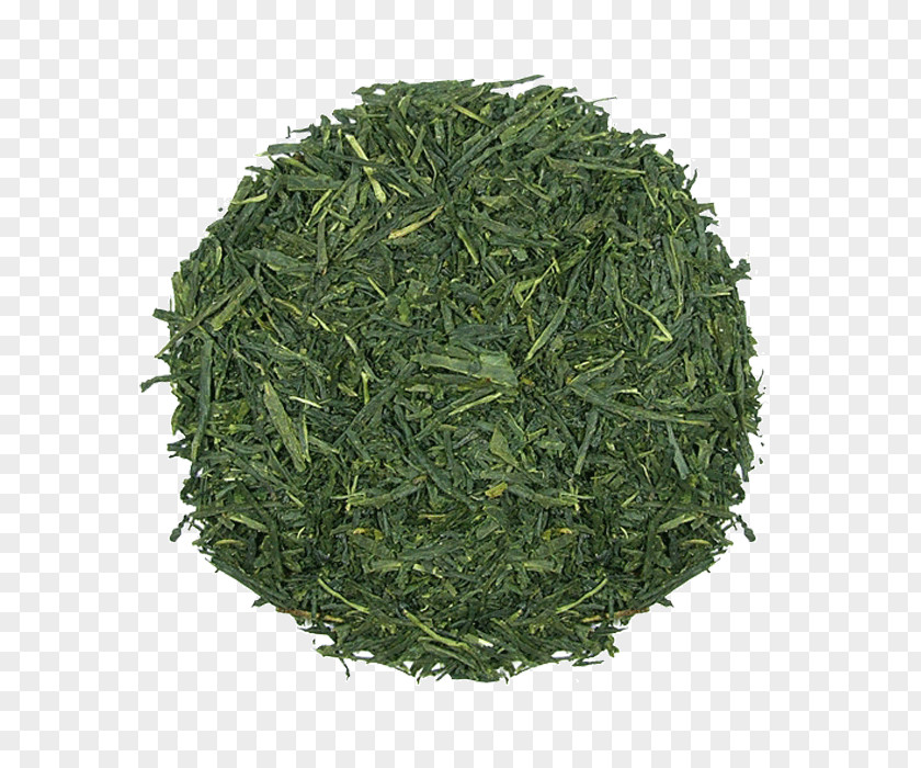 Green Tea Gyokuro Endive Nilgiri Sencha Bancha PNG