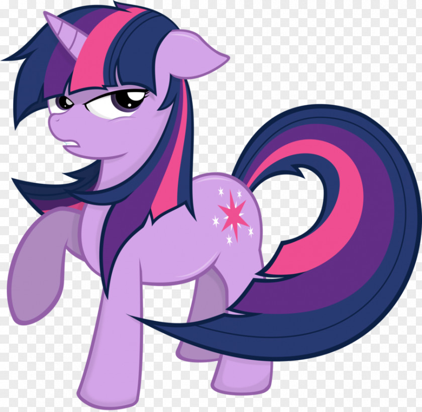 Melania Trump Family Twilight Sparkle My Little Pony Rainbow Dash Pinkie Pie PNG