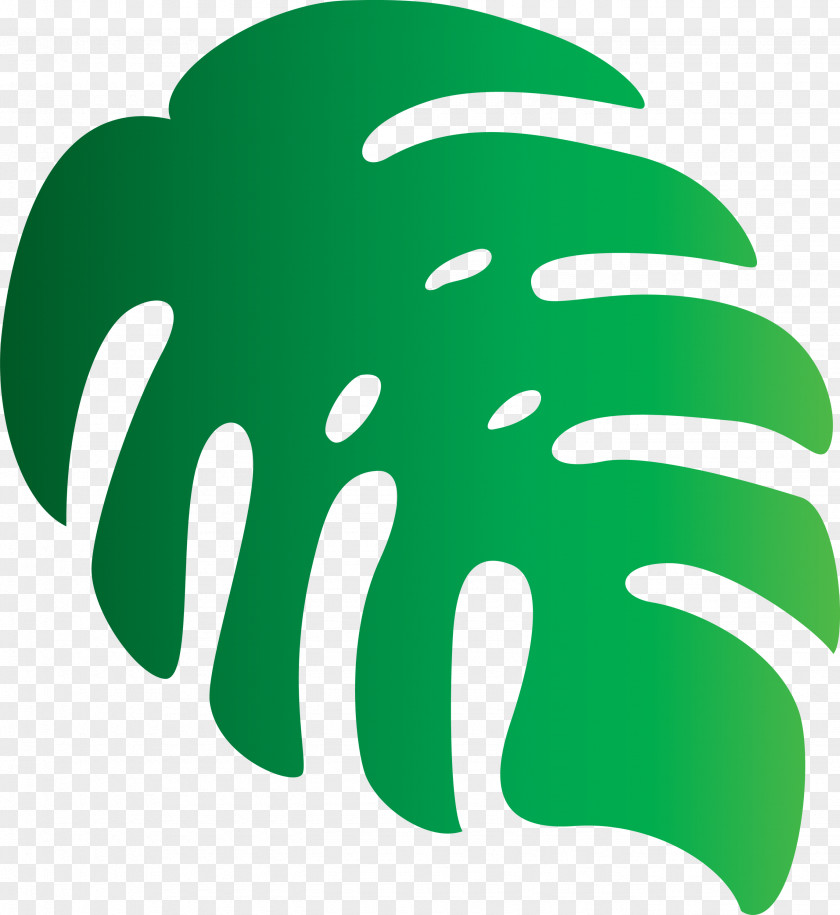 Monstera Tropical Leaf PNG