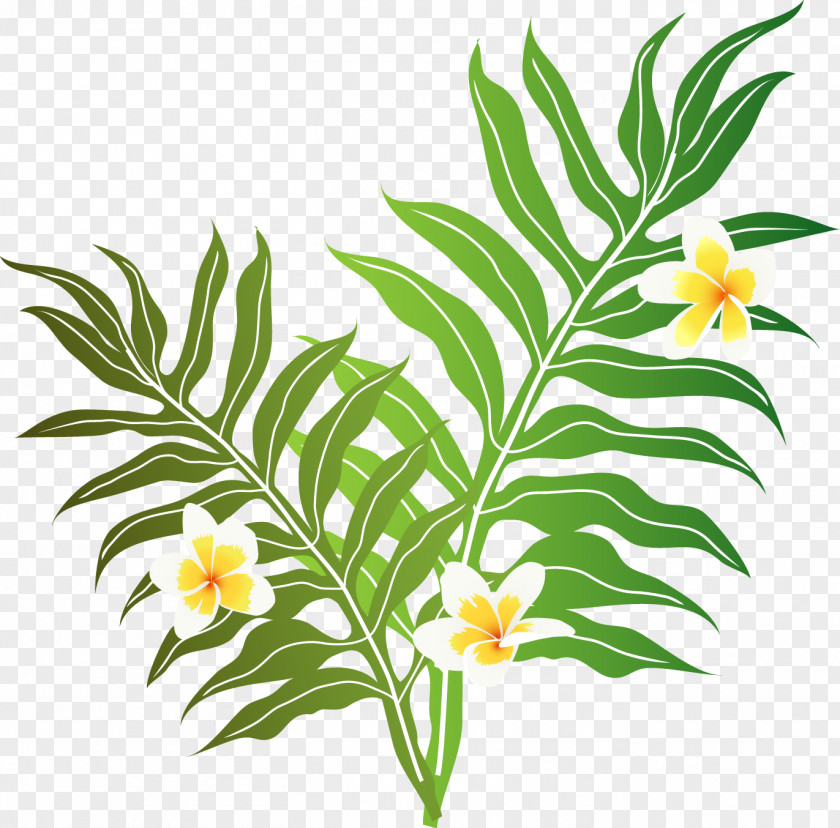 Music Of Hawaii Cut Flowers PNG of flowers, tropic clipart PNG
