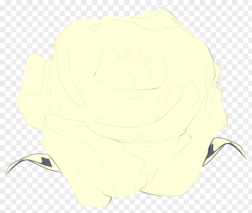 Plant Beige White Yellow Head Nose PNG