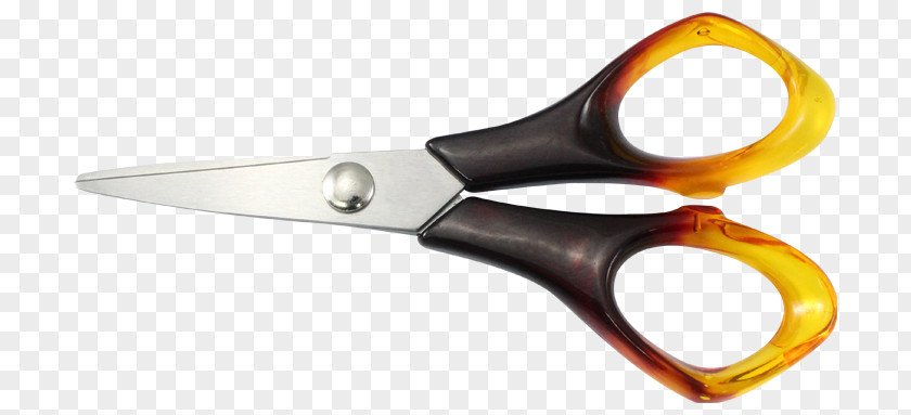 Tailor Scissors PNG