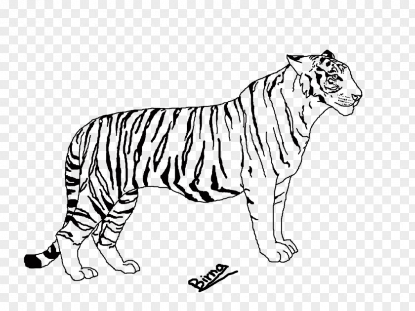 Tiger Whiskers Line Art Lion Drawing PNG