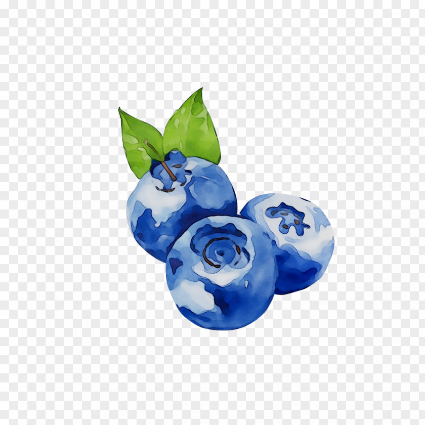 Bilberry Blueberry Product Cobalt Blue PNG