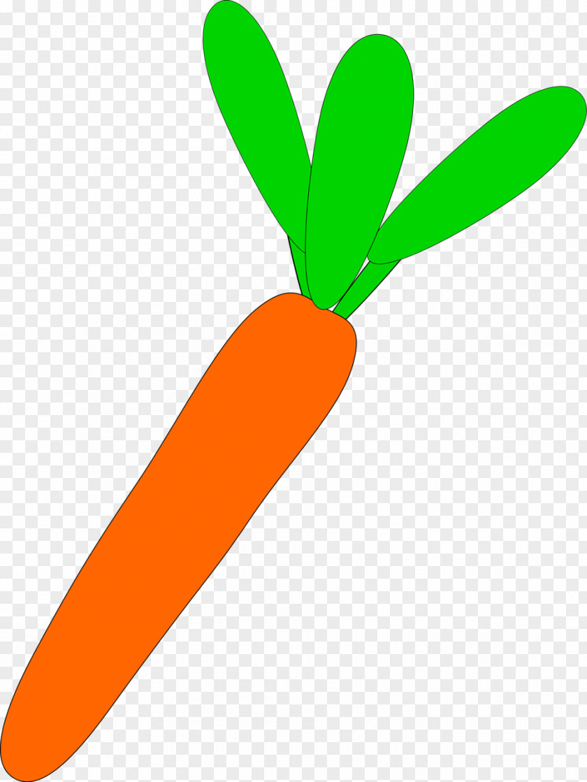 Carrot Vegetable Animation Clip Art PNG