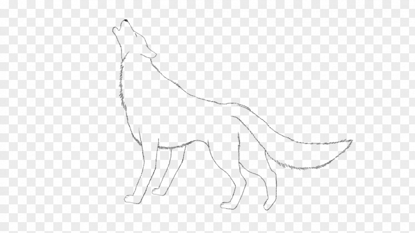 Cat Canidae Macropodidae Dog Sketch PNG