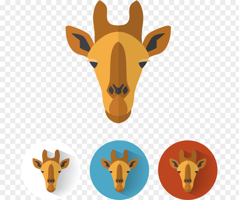 Giraffe Avatar Northern Euclidean Vector Clip Art PNG