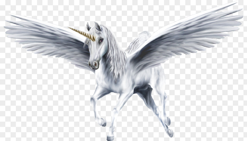 Horse Flying Horses Pegasus Winged Unicorn PNG