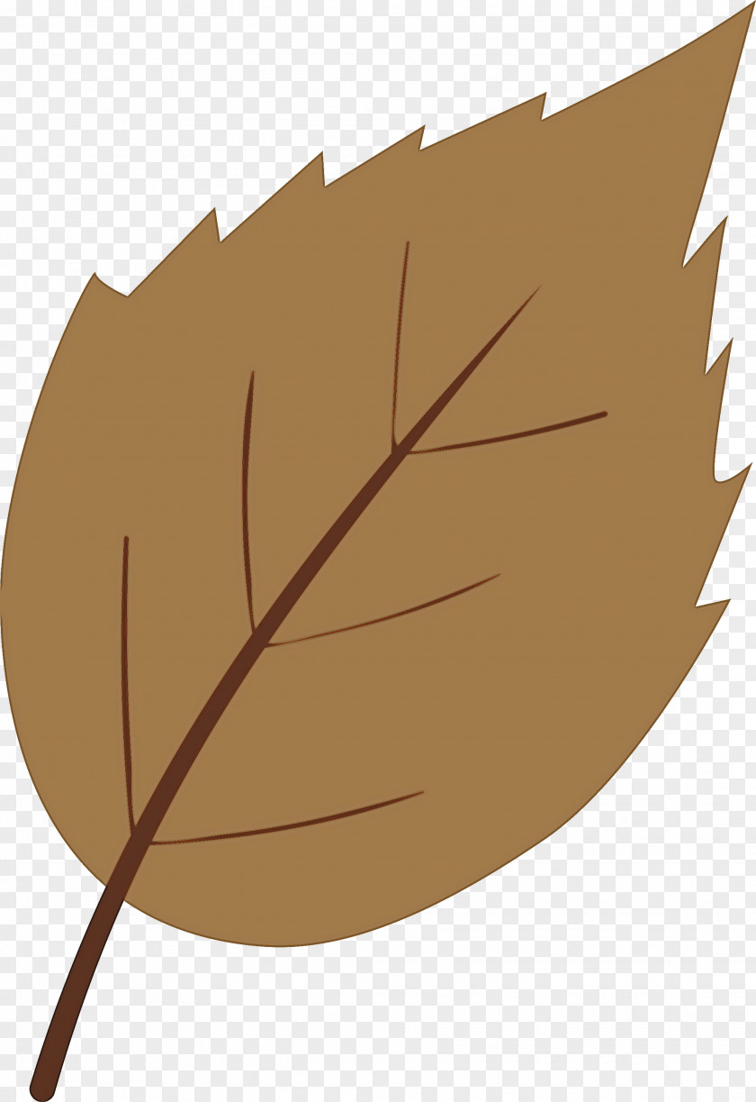 Leaf Brown Tree Plant Woody PNG