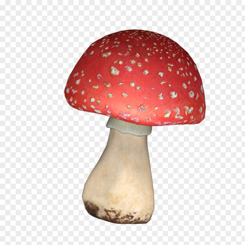 Mushroom PNG