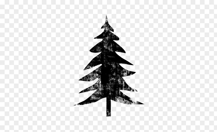 Tree Spruce Fir Symbol PNG
