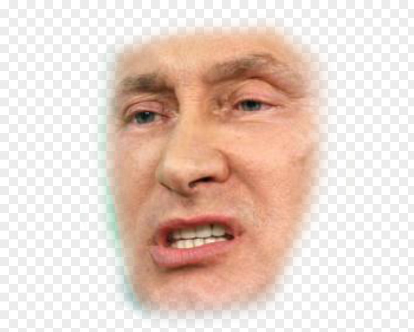 Vladimir Putin President Of Russia United States News PNG
