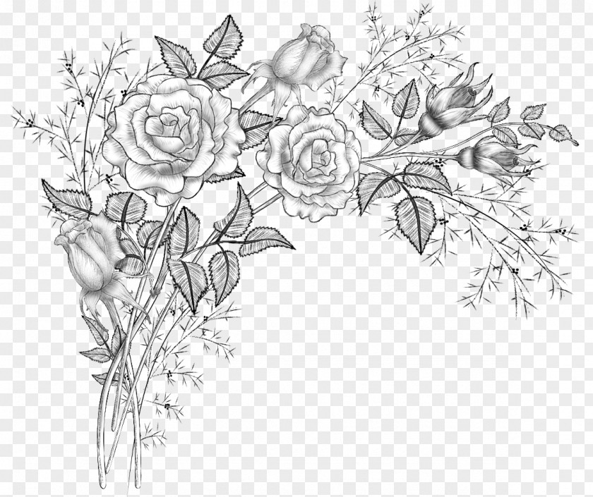 Brushes Drawing Visual Arts Flower PNG