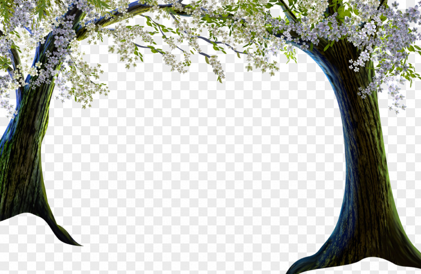 Cartoon Cherry Blossoms Tree Landscape With Flowers Painting Clip Art PNG