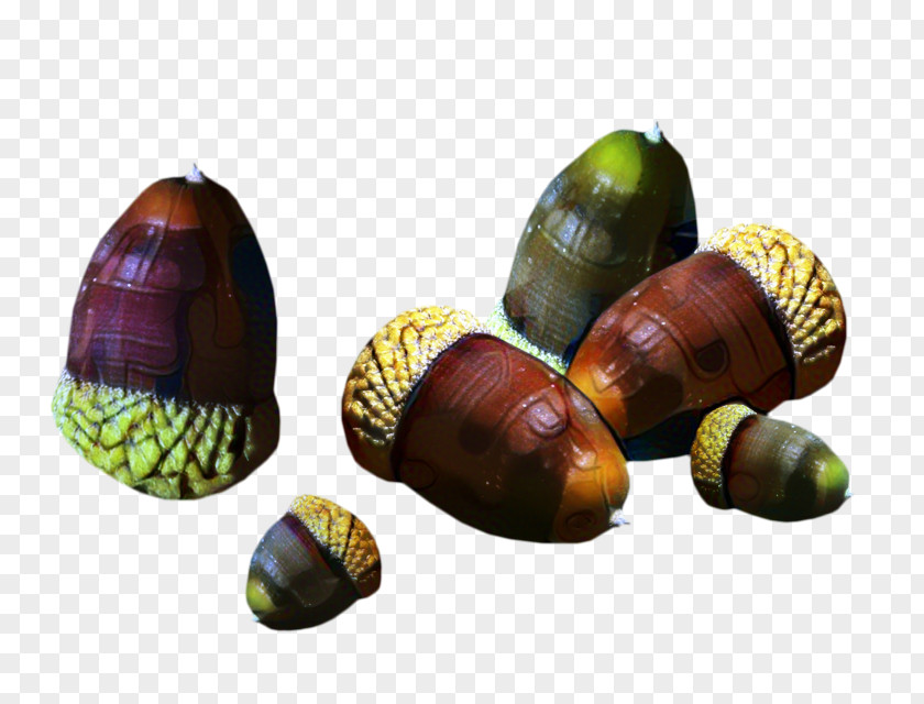 Food Chestnut Snail Cartoon PNG