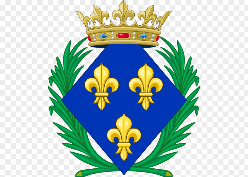 France Kingdom Of National Emblem Coat Arms House Bourbon PNG