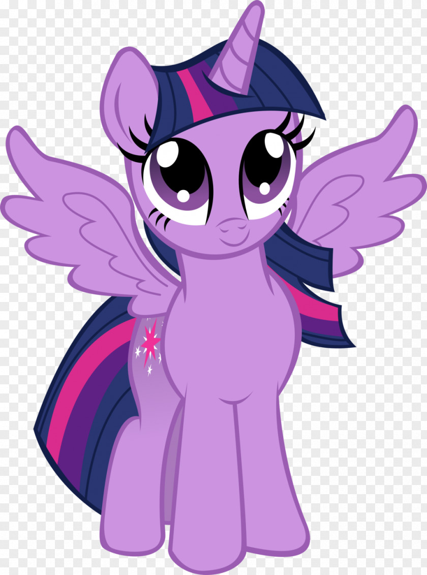 Gemstone Magic Pony Pinkie Pie Twilight Sparkle Winged Unicorn Cutie Mark Crusaders PNG