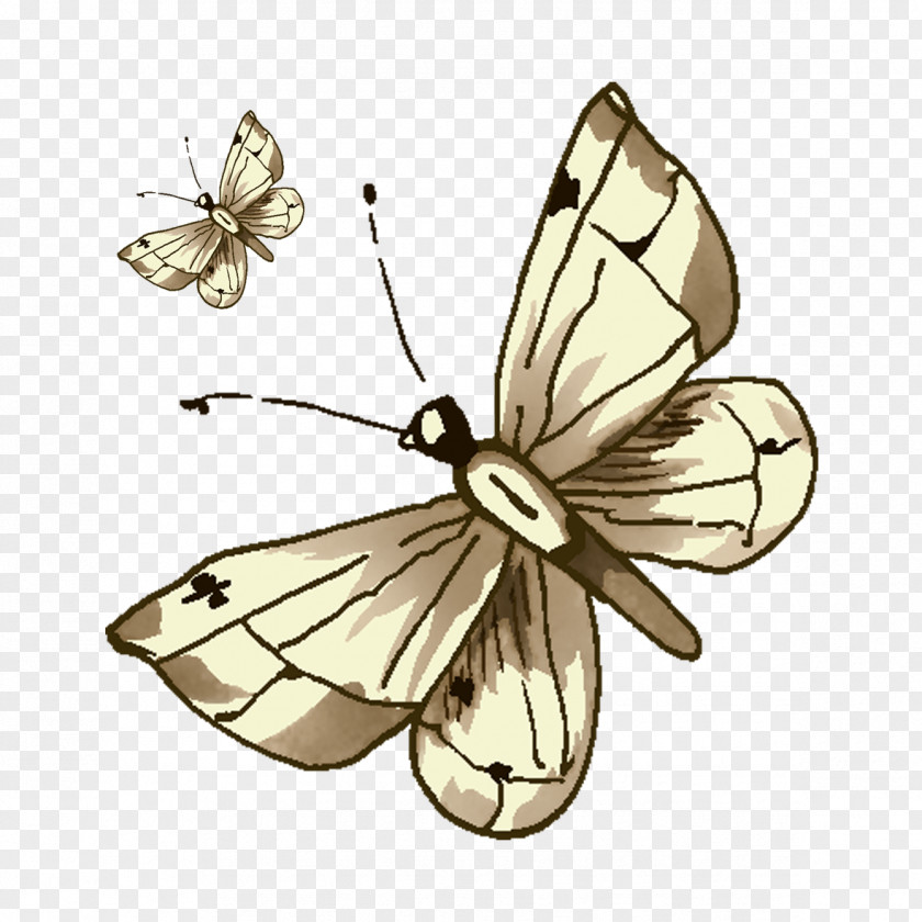 Grey Butterfly Cartoon Illustration PNG