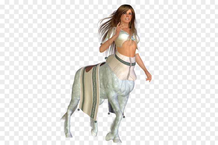 Mustang Outerwear Freikörperkultur Costume Horse PNG