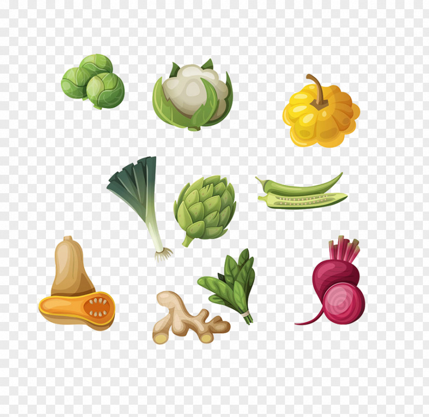 A Variety Of Vegetables Vegetable Fruit Okra Illustration PNG