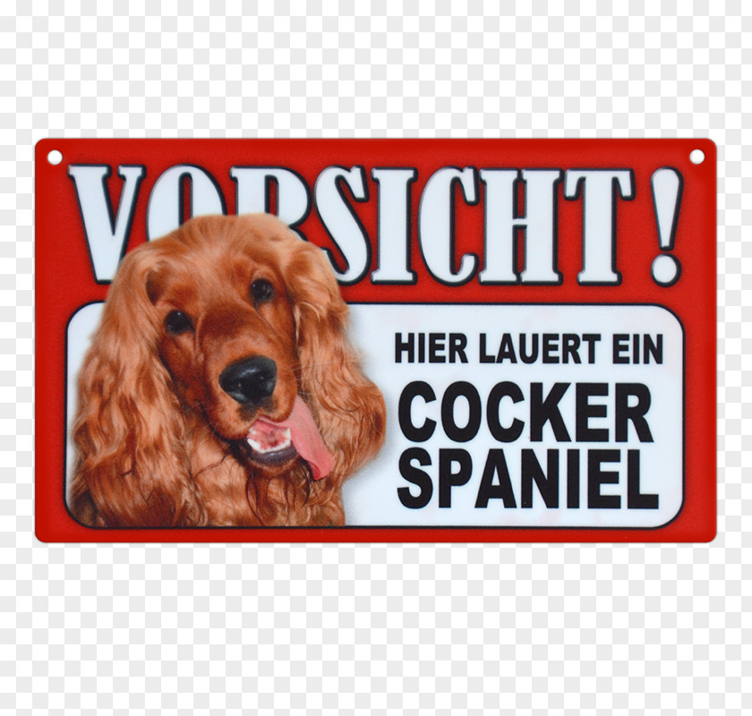 Cocker Spaniel Irish Setter Dog Breed Puppy Yorkshire Terrier Companion PNG