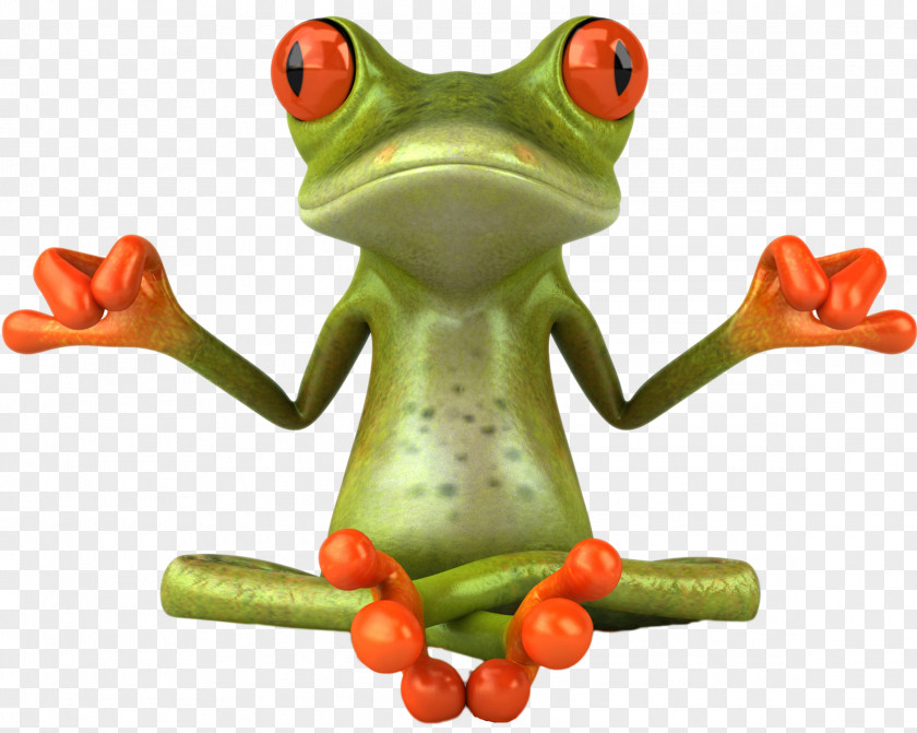 Frog Zen Royalty-free Photography PNG