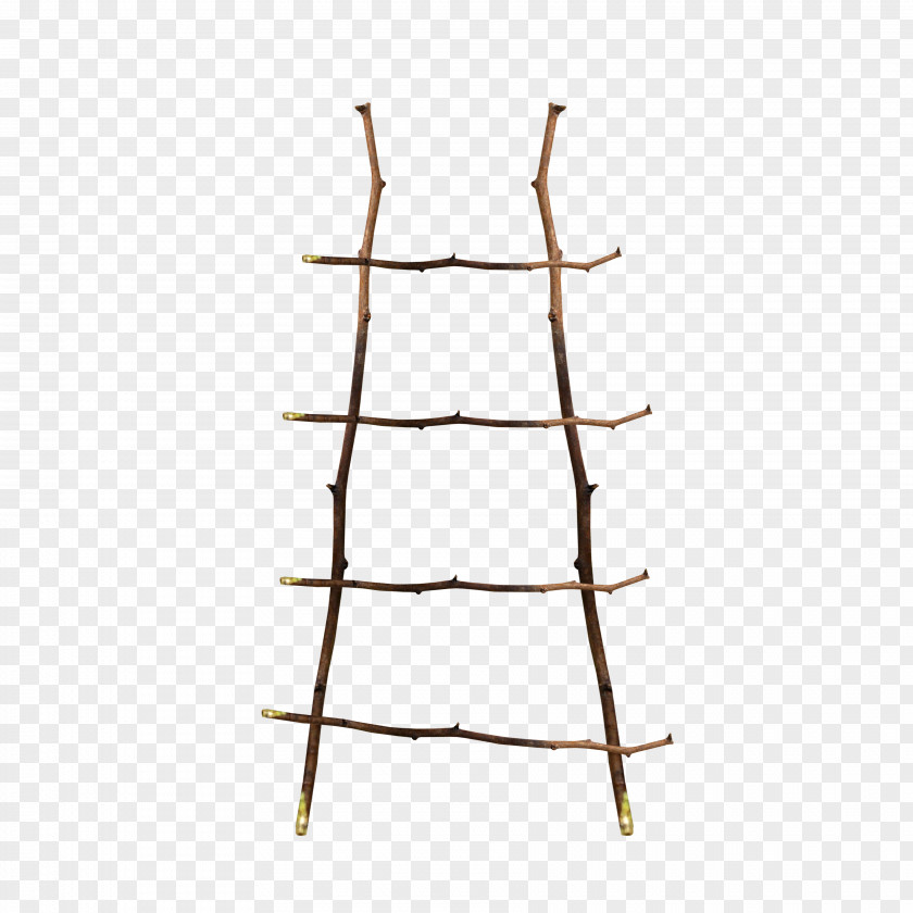Litter Ladder Wood Icon PNG
